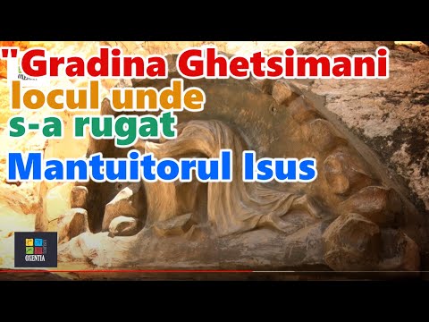 ✈️ Grădina #Ghetsimani - locul unde Mântuitorul s-a rugat pentru omenire | Oxentia Tourism