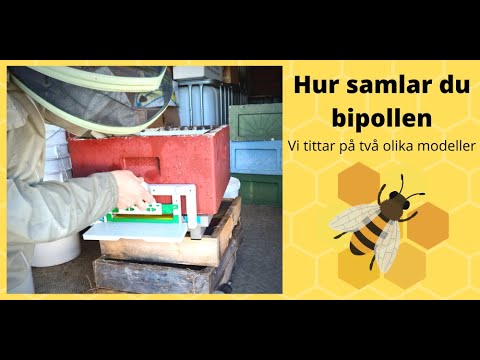 Hur samlar man bipollen