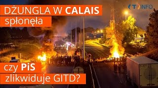 Dżungla uchodźców w ogniu | GITD do likwidacji | Transformersy jednak istnieją