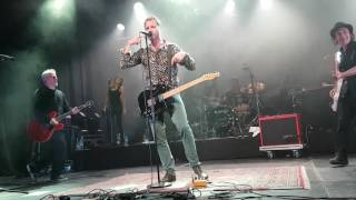 CC Cowboys - Tigergutt