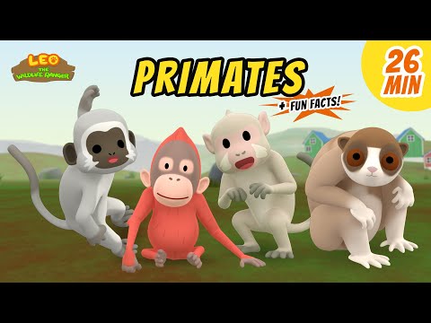 Witness21 Editor  2021 03 06