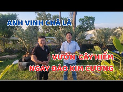 Thăm vườn cây hiếm ngay đảo Kim Cương - Cùng Biso Jica thăm nhà anh Vinh Chà Là