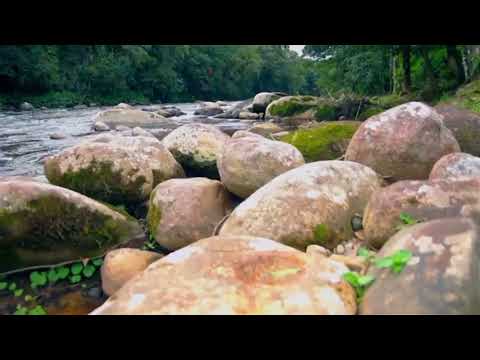 Louvor a cidade de luz