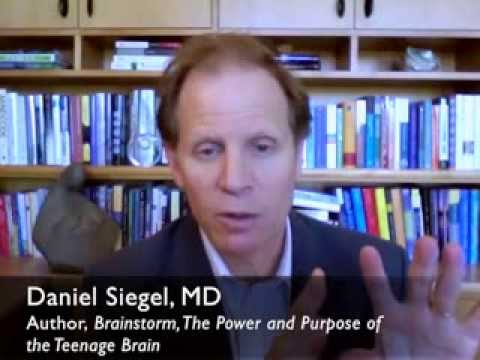 How Your Brain "Grows You Up": Brain Change from Adolescence to Adulthood