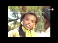 Emzini Wezinsizwa