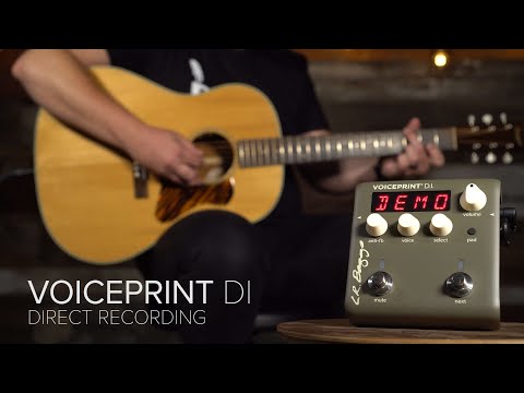 LR Baggs Voiceprint DI Acoustic Guitar Impulse Response Effects Pedal image 7