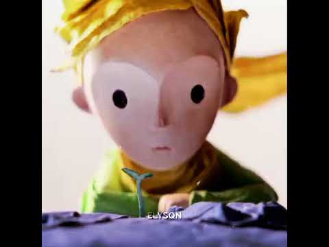 "it is the time that you devoted to her that makes your rose important" // the little prince