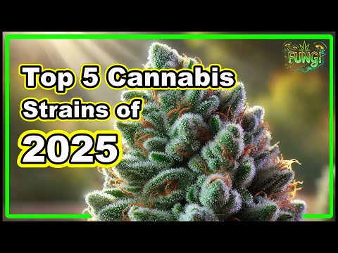Top 5 Cannabis Strains to Watch in 2025 🌿 |  FUNGI Co.