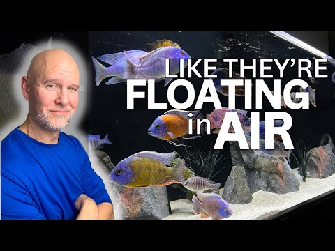 CRYSTAL CLEAR Aquarium Water | 5 EASY Tips!