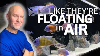 CRYSTAL CLEAR Aquarium Water | 5 EASY Tips!