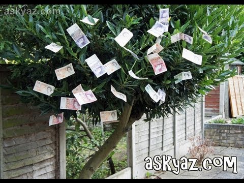 How to Grow Money on Trees