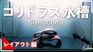 【SheltaCrafta】シェルターを使ってコリドラス水槽レイアウト【小型水槽】【コリドラス水槽Part.12】