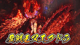 歴戦王ヌ･エグドラと戦う放送ガンランスで