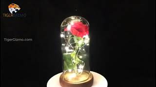 BEAUTY AND THE BEAST ROSE IN GLASS - Best #Valentine Day Gift