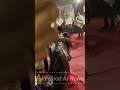 National Crush Tripti Dhimri Looking Gorgeous Walks Red Carpet At Filmfare Awards 2024 Triptidimri