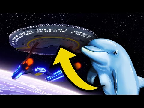 Star Trek: 10 Secrets About The USS Cerritos You Need To Know