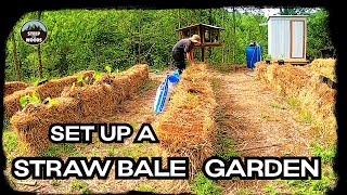 How to Set up a Straw Bale Garden - from Start to Finish!