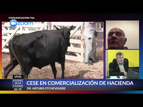 CESE EN COMERCIALIZACIÓN DE HACIENDA - Comunicación con Arturo Etchevehere