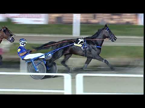 Napoli Trotto 24/06/2023 - 8ª corsa