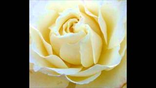 Larry Sparks - Don&#39;t Neglect The Rose