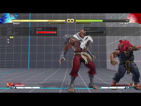 Sagat microwalk CC crouch HP after forward throw in corner