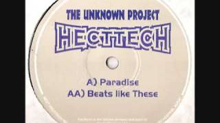 THE UNKNOWN PROJECT  -  PARADISE