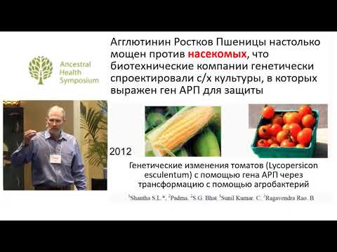 Джордж Диггз: Природные токсины в растениях (лектины, танины, цианид, эстрогены, глютен…)