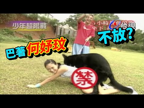 狼犬台語