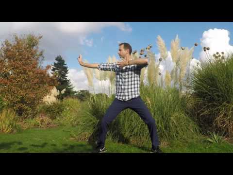 Stretching Lung & Large Intestine Meridian