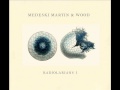 Medeski, Martin & Wood - Professor Nohair