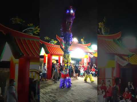 ATRAKSI SUSUN 3 BARONGSAI 😯