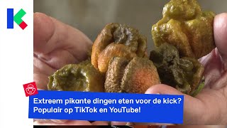 De Pepper X is de nieuwe heetste peper ter wereld