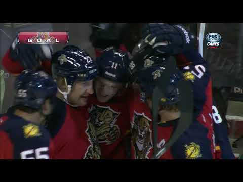 NHL    Jan.19/2013    Carolina Hurricanes - Florida Panthers