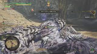 【モンハンワイルズ】参加型　お守り集め　神おま求めて行きます