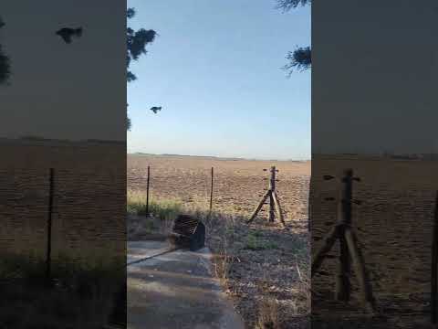 CHIMENEA HISTÓRICA en CHUCUL