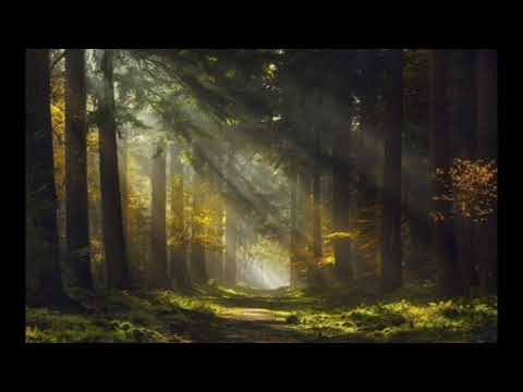 And We Walk After - Trevor Kowalski