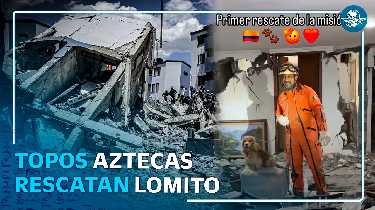 Topos Azteca hacen su primer rescate en Colombia al sacar a un perrito de los escombros
