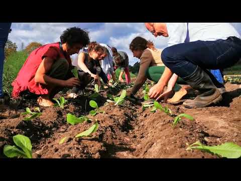 Handlungspädagogik Sommercamp 2019 - Vortrag von Dr. Manfred Schulze