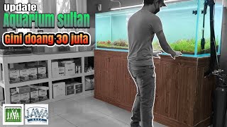 #296 Perawatan Awal tanam Aquascape Minggu ke 1