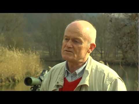 LFV, Der Fall Kormoran - Kurzversion (VTS_01_1)