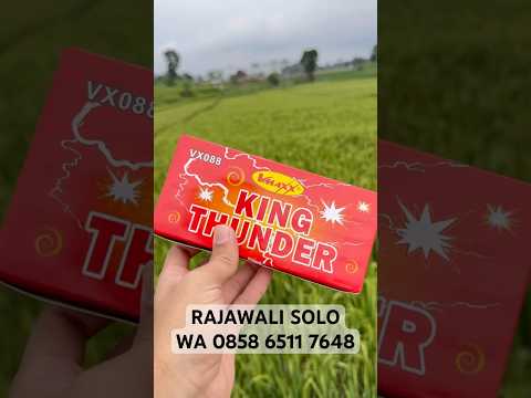 WHISTLING KING THUNDER 1 BOX ISI 20 PCS - V MAXX