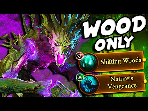 Can You Beat Total Warhammer 3 Using ONLY Wood and No Elves As Drycha?