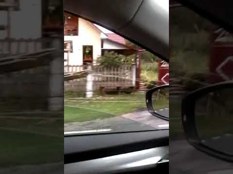 Furtuni aproape de Dej(3)