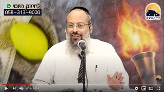 א' חוה"מ סוכות | סוד האבוקות | להאבק מבלי להפסיד ᴴᴰ