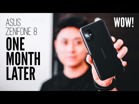 ASUS Zenfone 8 Long Term Review: SMALL BUT POWERFUL AF! All You Need To Know!