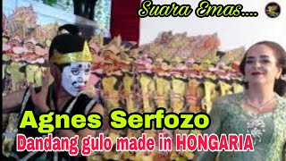 Download lagu Dandang Gulo Banjut made in Hongaria//Agnes Serfozo Ft Gareng Semarang mp3 Download lagu Dandang Gulo Banjut made in Hongaria//Agnes Serfozo Ft Gareng Semarang mp3