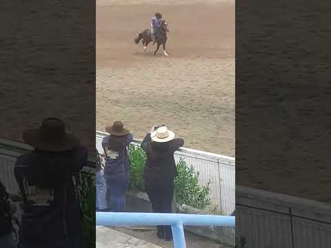 cavalo de Itaperuçu Paraná rodeio em Mandirituba Fernando Lucas Guilherme   Brasil 🎗🐎💯🎗