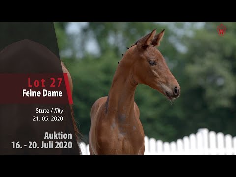 Westfälische Online Auktion 16. - 20. Juli: Lot 27 Feine Dame Stute v. Franziskus - De Niro