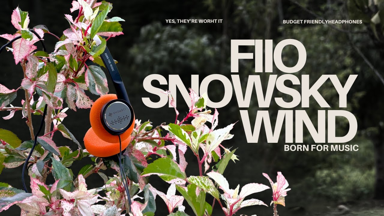Are The FiiO Snowsky Wind Headphones Worth Buying?