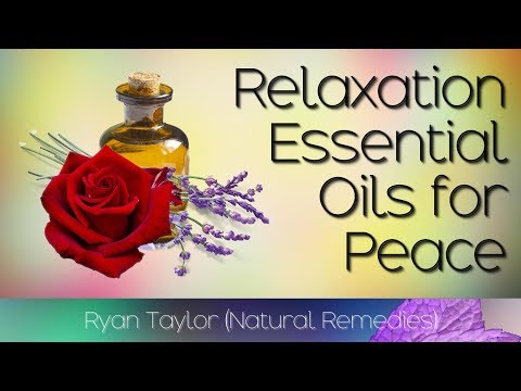 download lagu mp3 mp4 Essential Relaxation, download mp3 Essential Relaxation free download, download mp3 Essential Relaxation